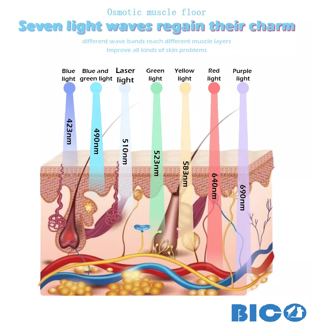 Vòm ánh sáng BIO 7 màu Cho Spa